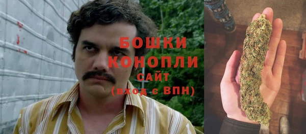 spice Верхний Тагил